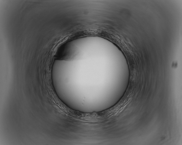 X0000100871201200806200855