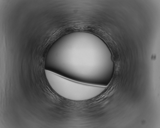 X0000100871202200806200855