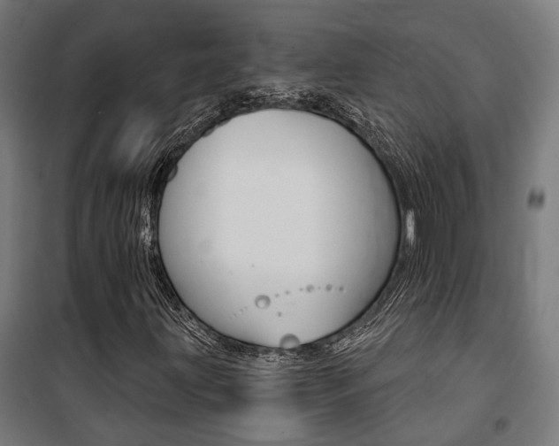 X0000100871203200806200855