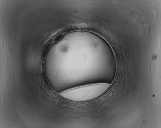 X0000100871205200806200855