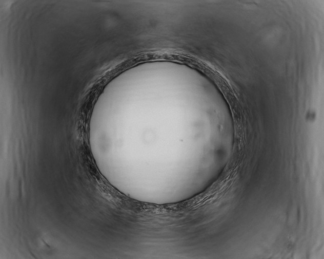 X0000100871207200806200855