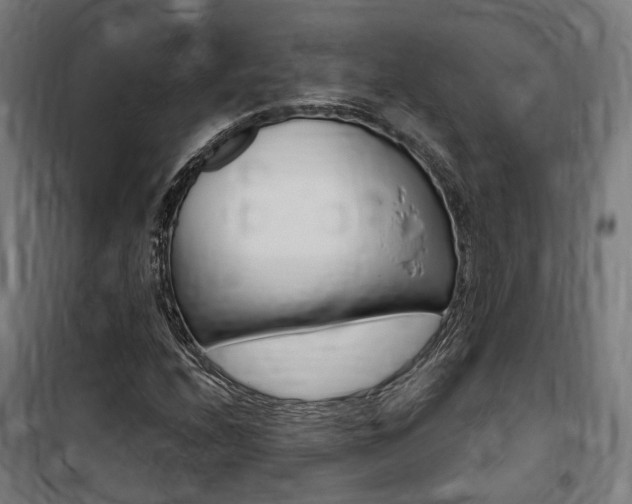 X0000100871208200806200855