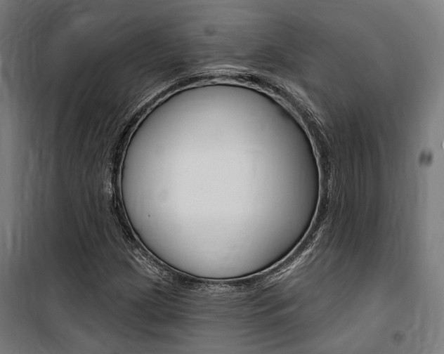 X0000100871209200806200855