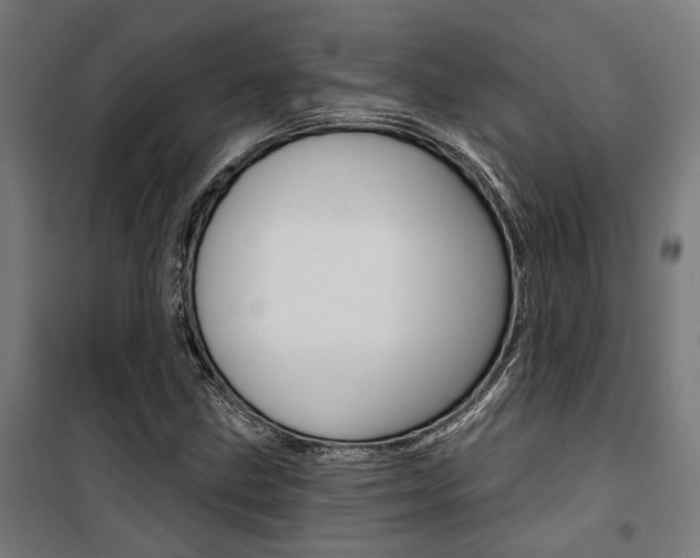 X0000100871211200806200855