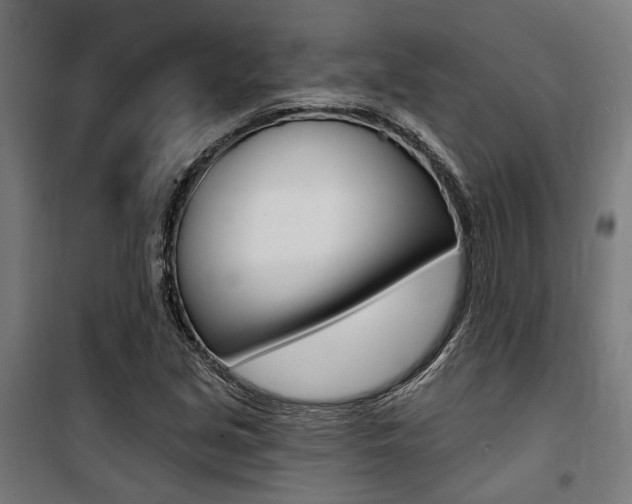 X0000100871213200806200855