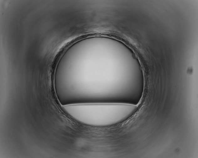 X0000100871214200806200855