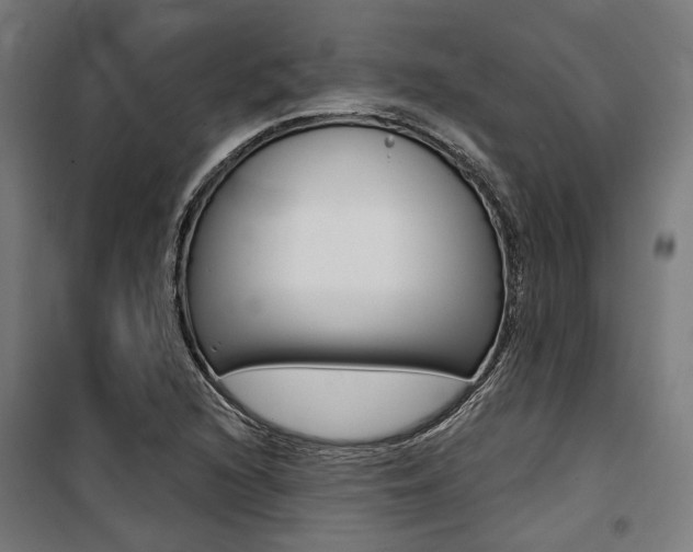 X0000100871216200806200855