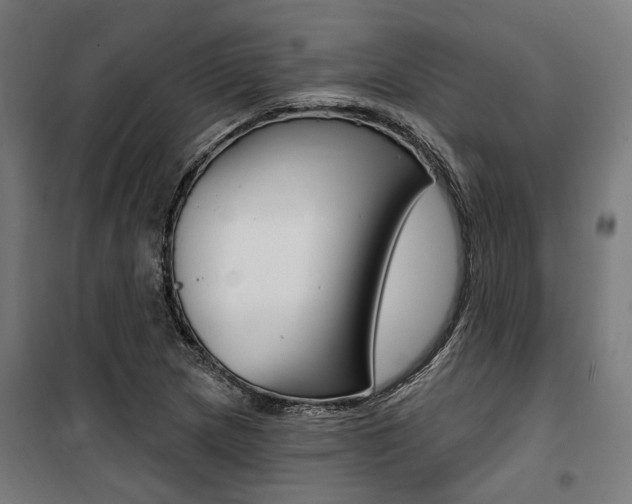 X0000100871217200806200855