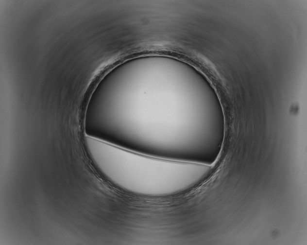 X0000100871218200806200855