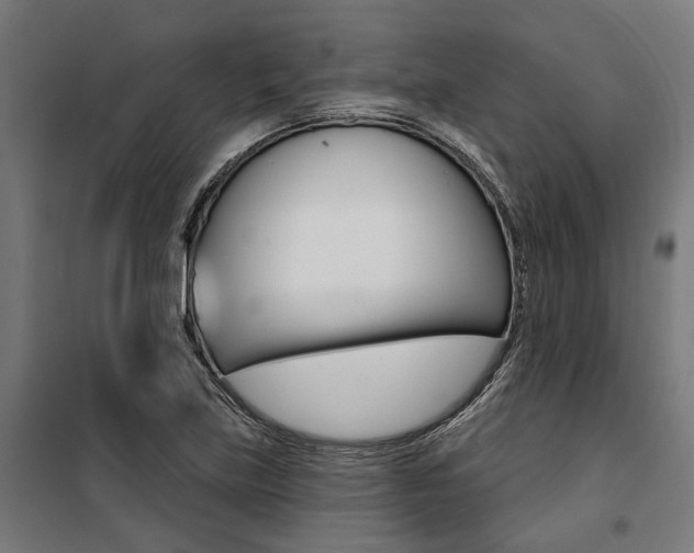 X0000100871219200806200855