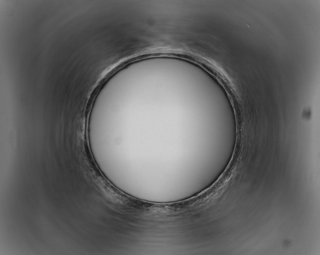 X0000100871220200806200855