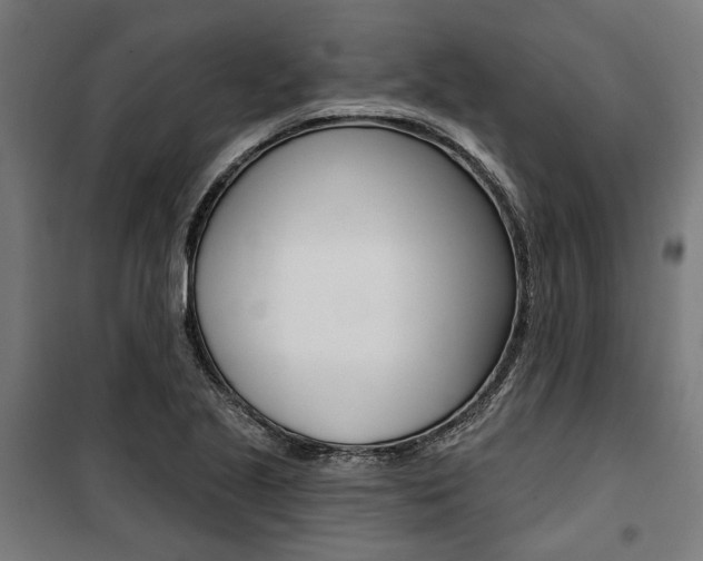 X0000100871221200806200855