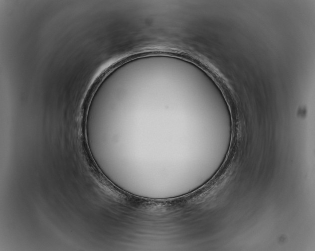 X0000100871222200806200855