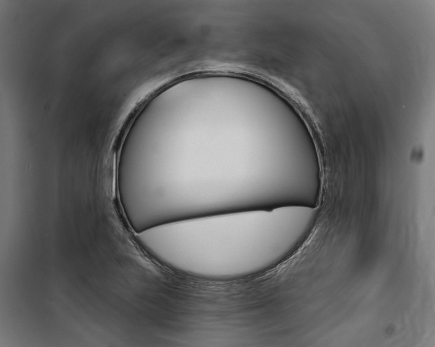 X0000100871223200806200855