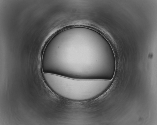 X0000100871224200806200855