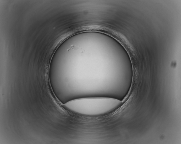 X0000100871225200806200855