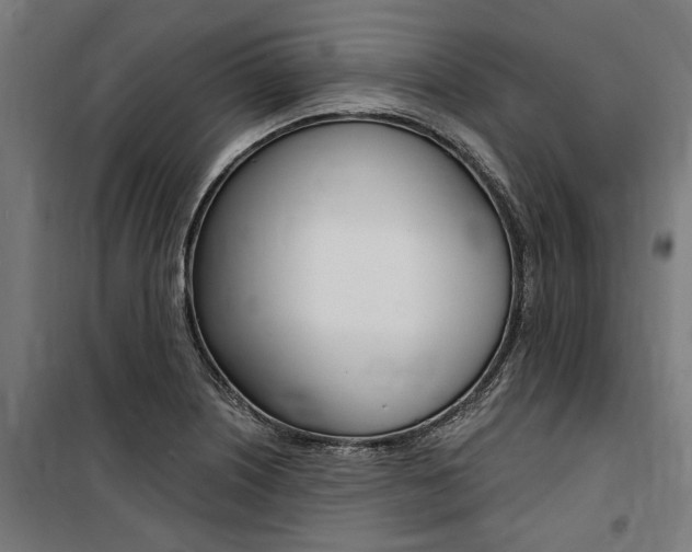 X0000100871226200806200855