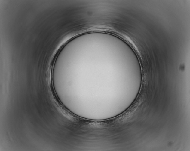 X0000100871227200806200855