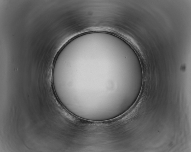 X0000100871228200806200855