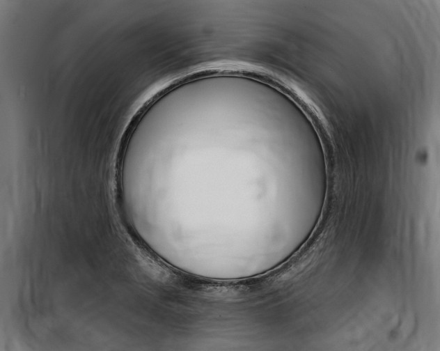 X0000100871229200806200855