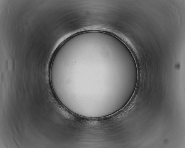 X0000100871230200806200855