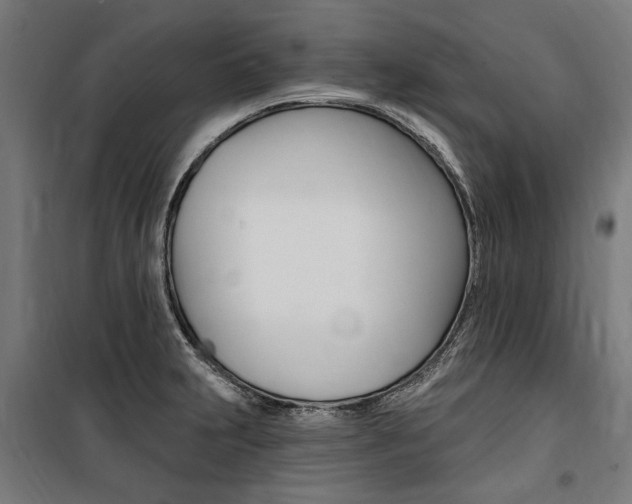 X0000100871231200806200855