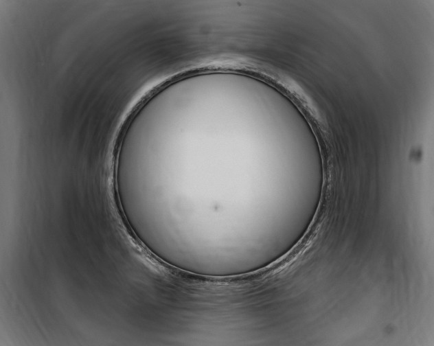 X0000100871232200806200855