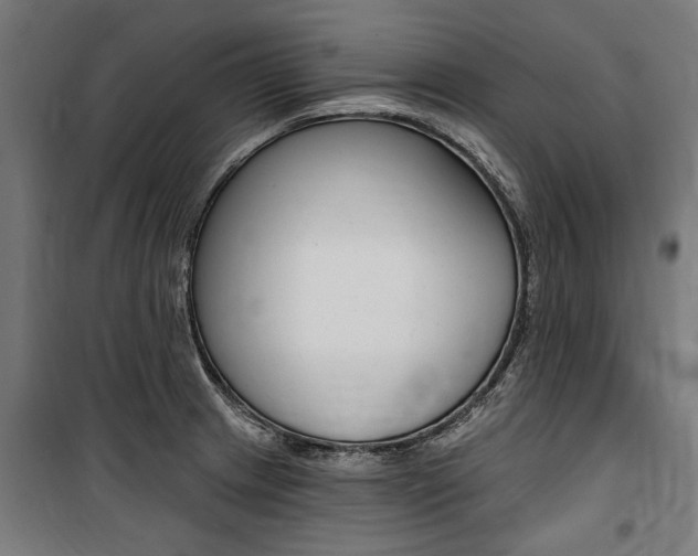 X0000100871233200806200855