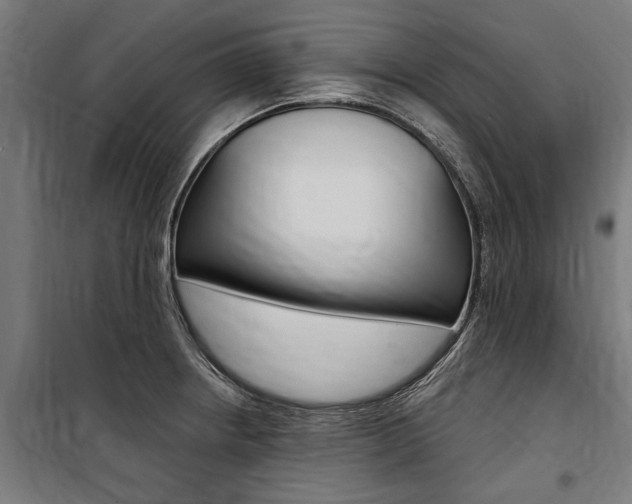 X0000100871234200806200855