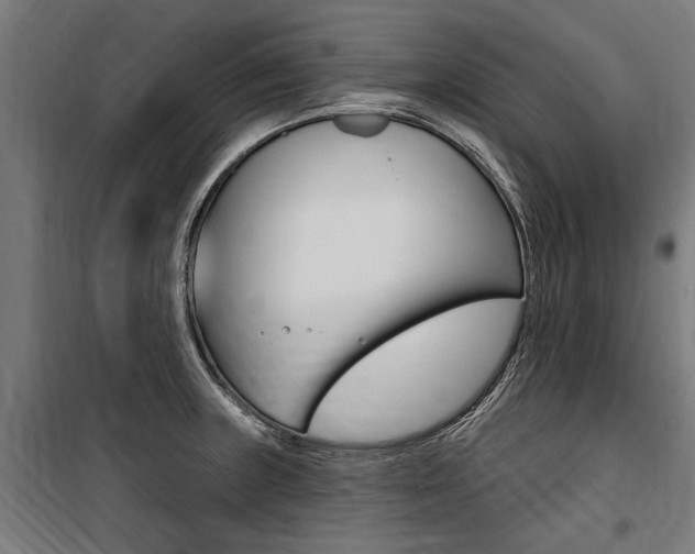 X0000100871235200806200855