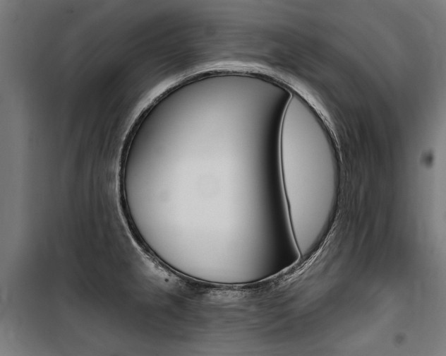 X0000100871237200806200855