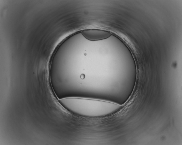 X0000100871238200806200855
