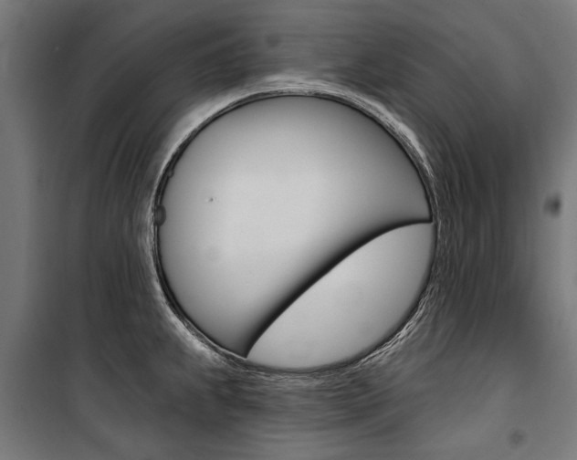 X0000100871239200806200855