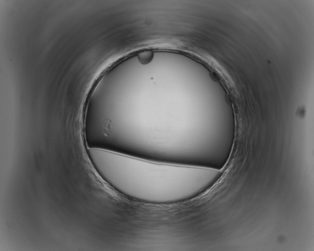 X0000100871240200806200855