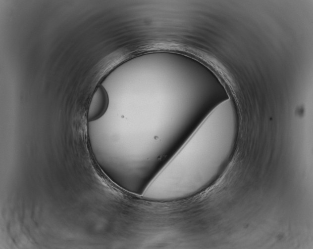 X0000100871241200806200855