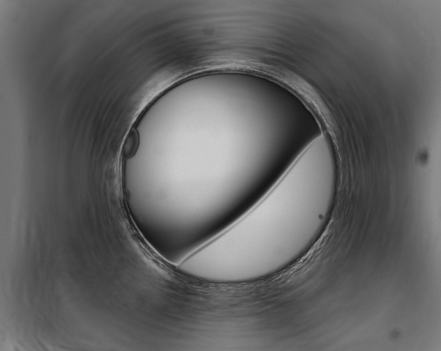 X0000100871242200806200855