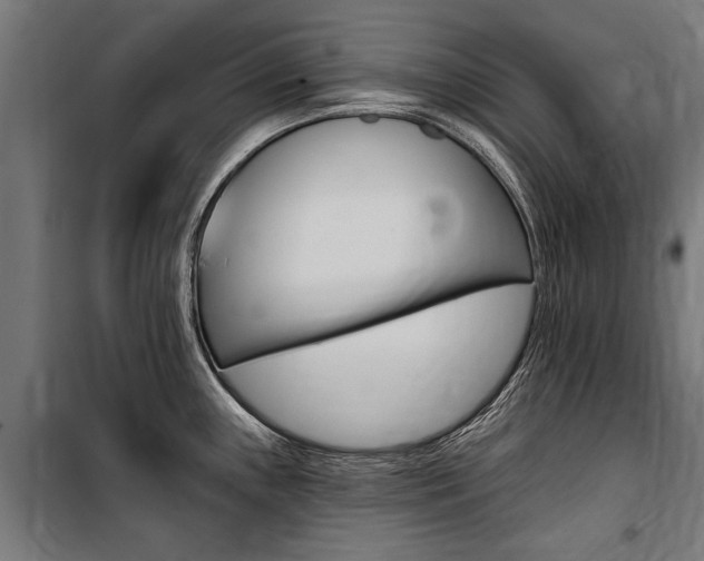 X0000100871243200806200855