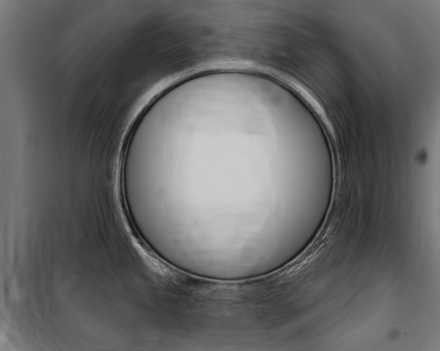 X0000100871245200806200855