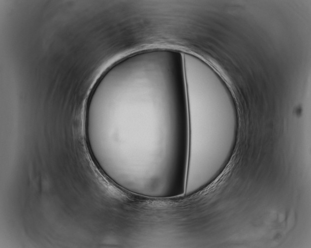 X0000100871246200806200855