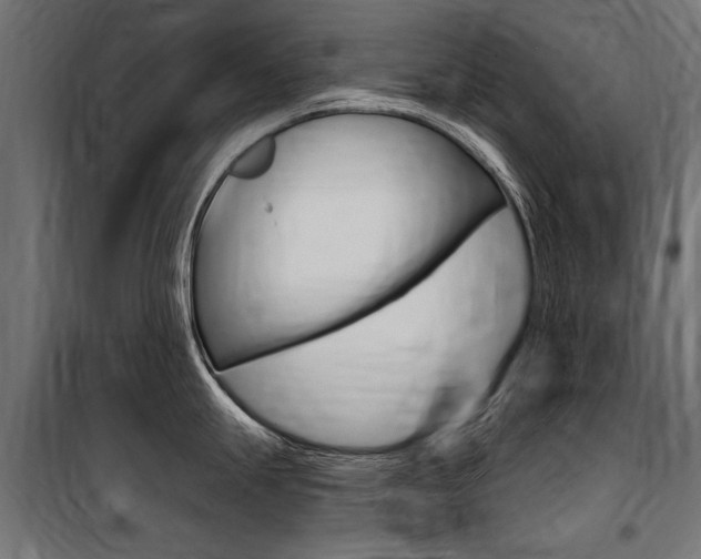 X0000100871247200806200855
