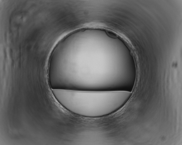 X0000100871248200806200855