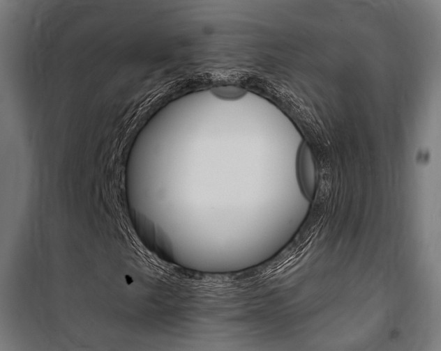 X0000100871249200806200855