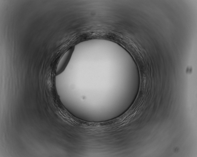 X0000100871250200806200854