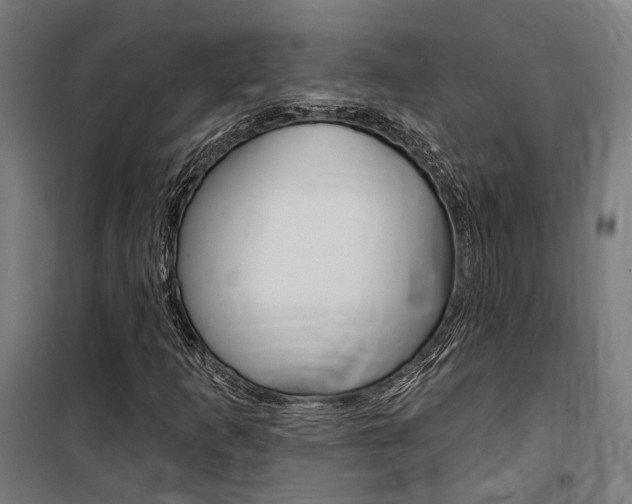 X0000100871253200806200854