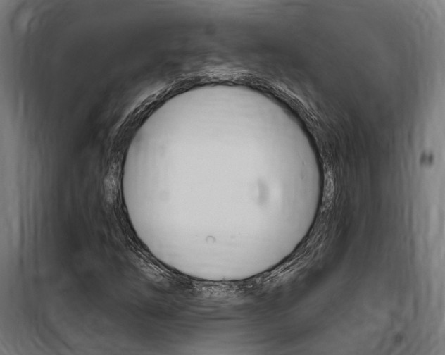 X0000100871254200806200854