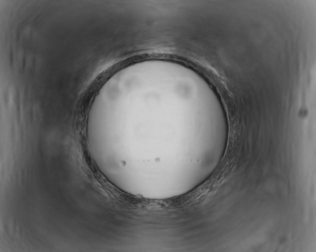 X0000100871255200806200854