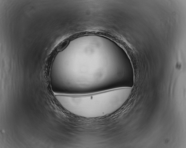 X0000100871256200806200854