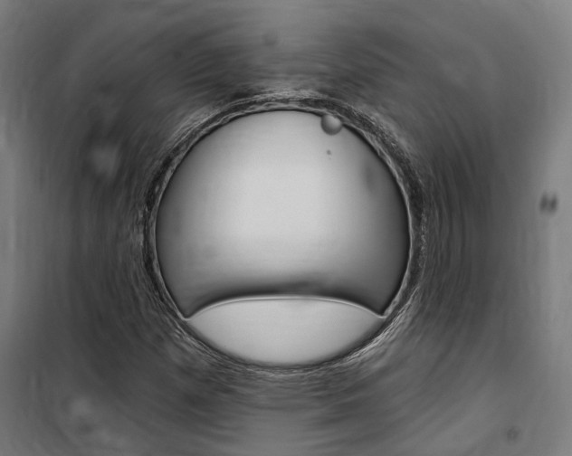 X0000100871257200806200854