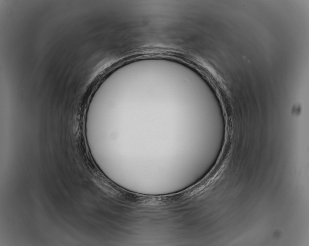 X0000100871259200806200854