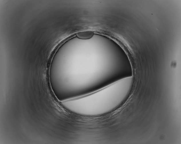 X0000100871260200806200854